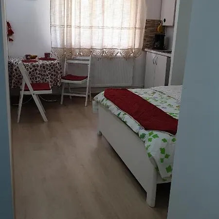 Apartment Studio Clabucet 21 *